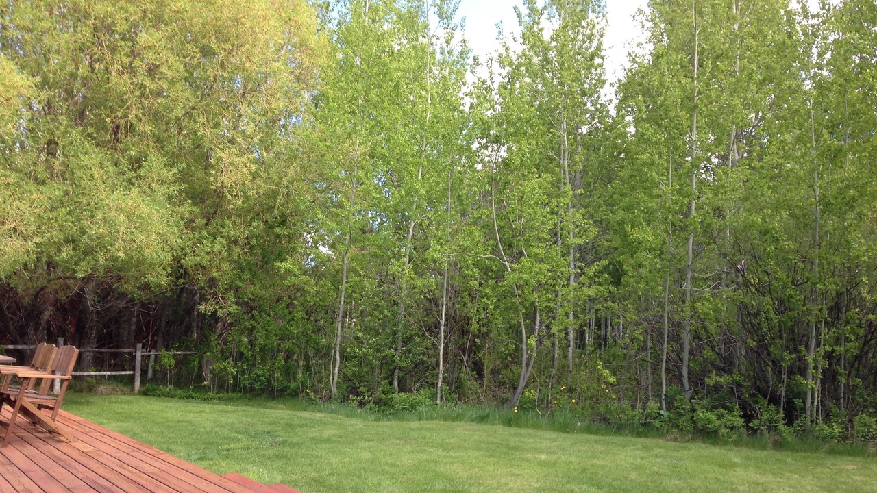 Photo of Outdoor in Moose Wilson Road