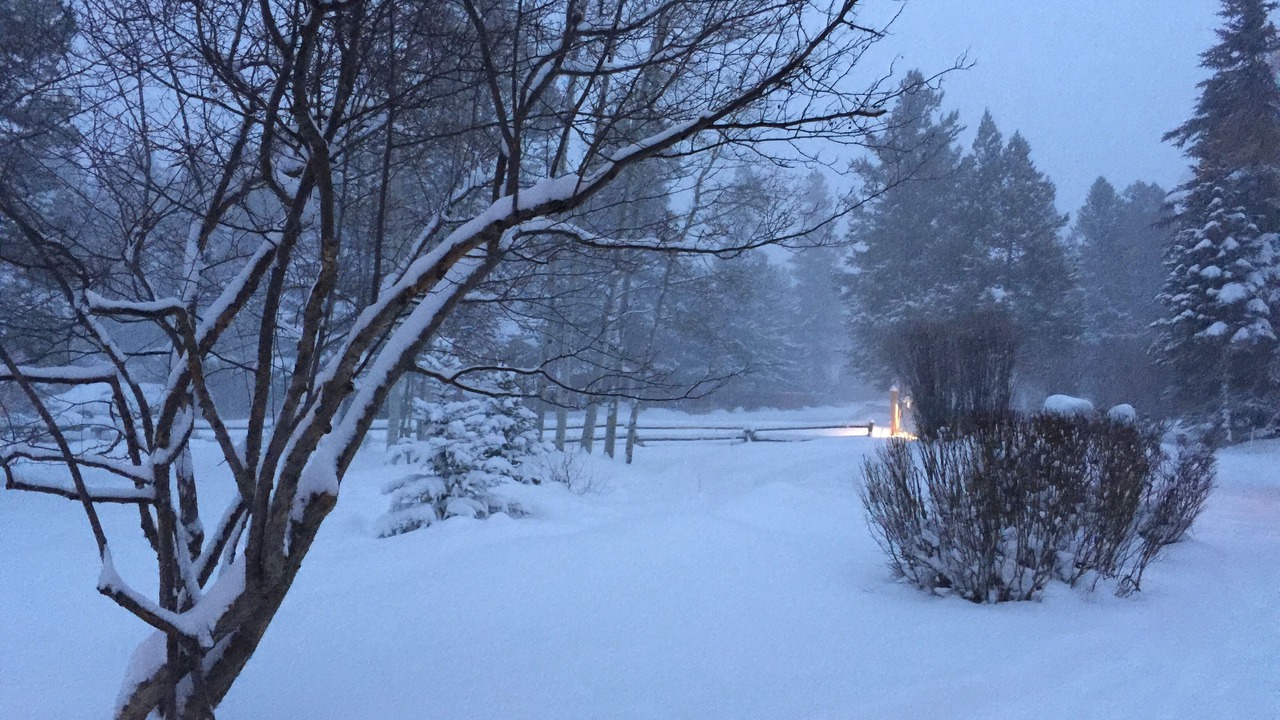 Photo of Others in Moose Wilson Road