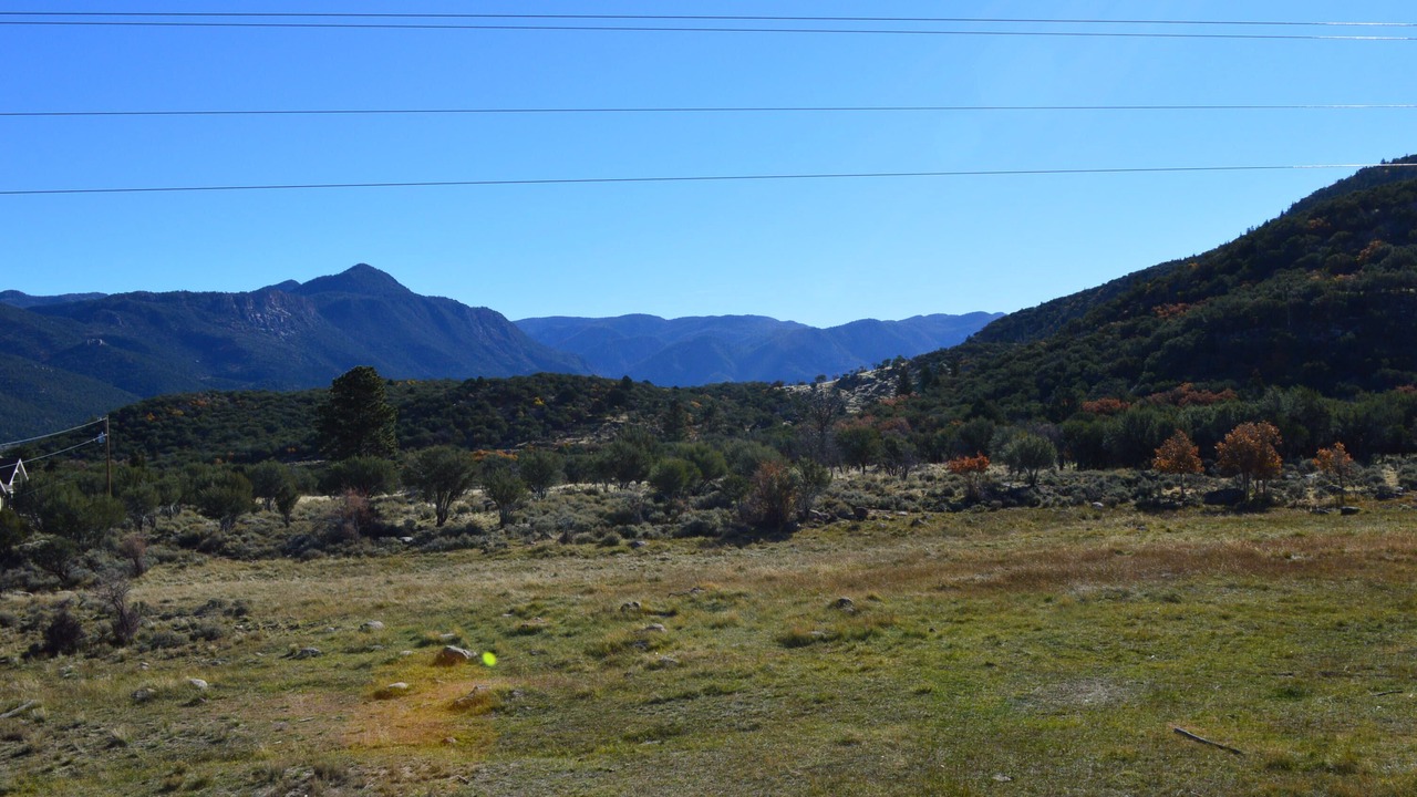 Photo of Others in Pine Valley