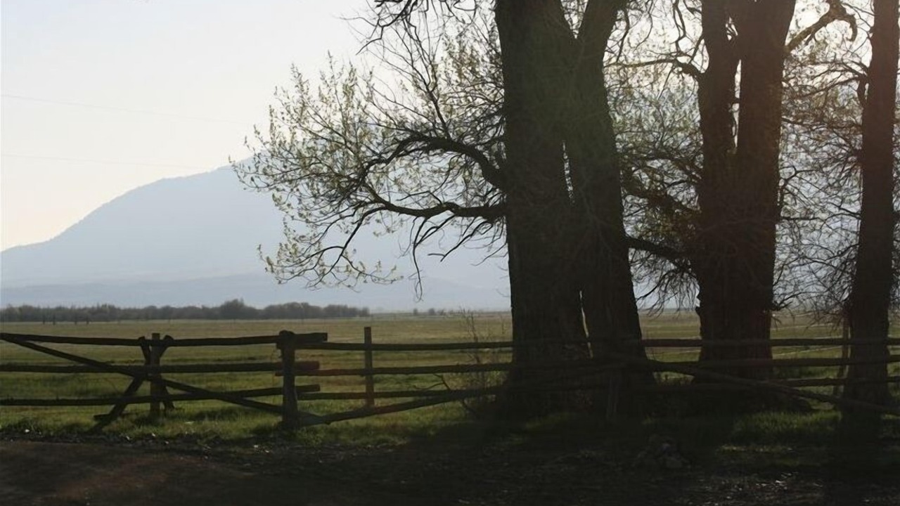 Photo of Others in Woods Landing-Jelm