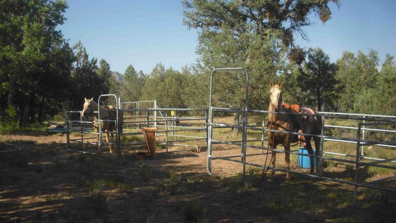 Photo of Others in Payson