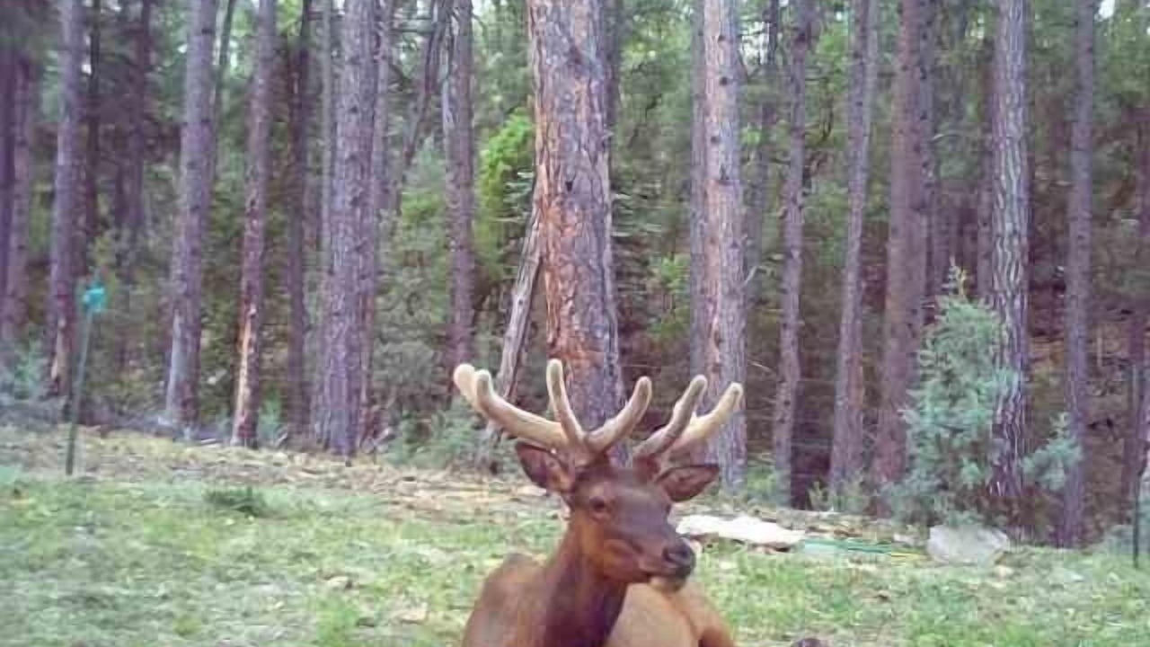 Photo of Others in Payson