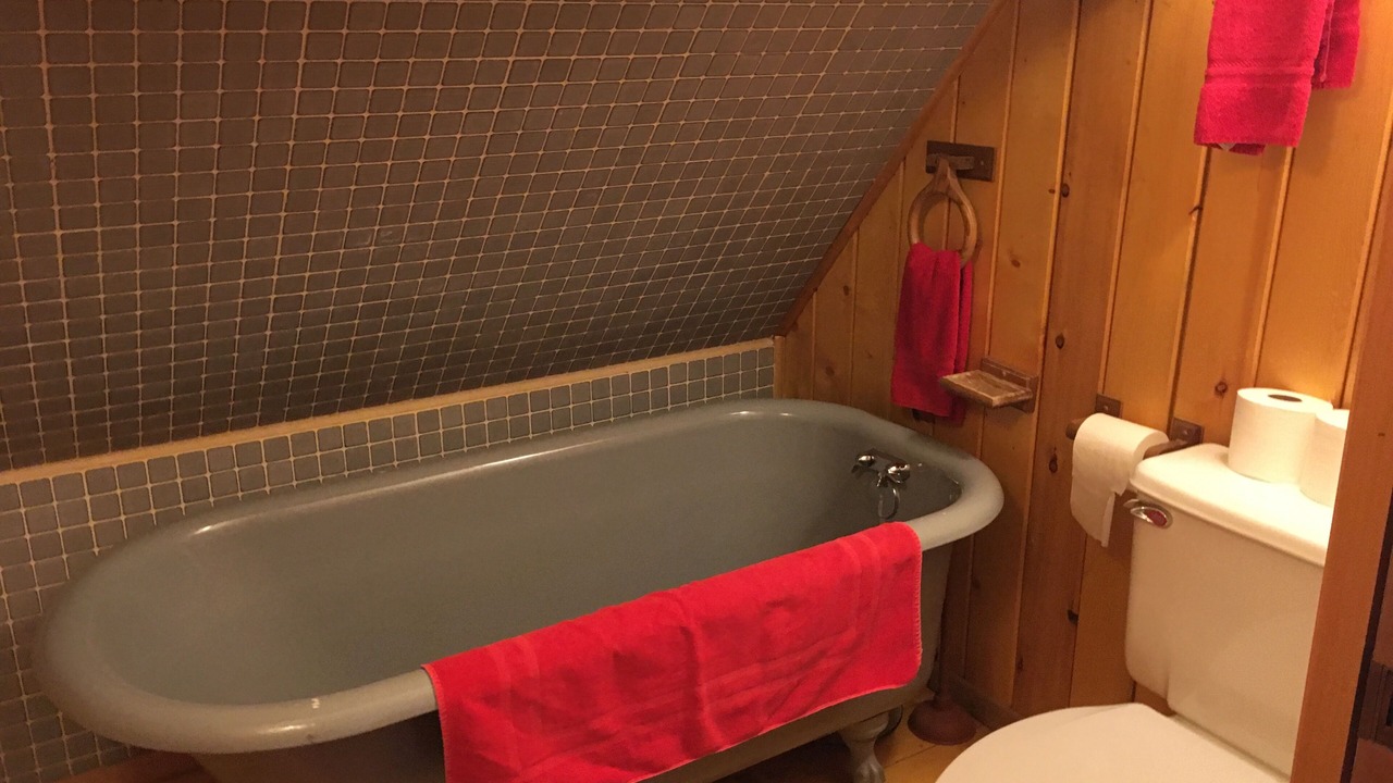 Photo of Bathroom in Angel Fire
