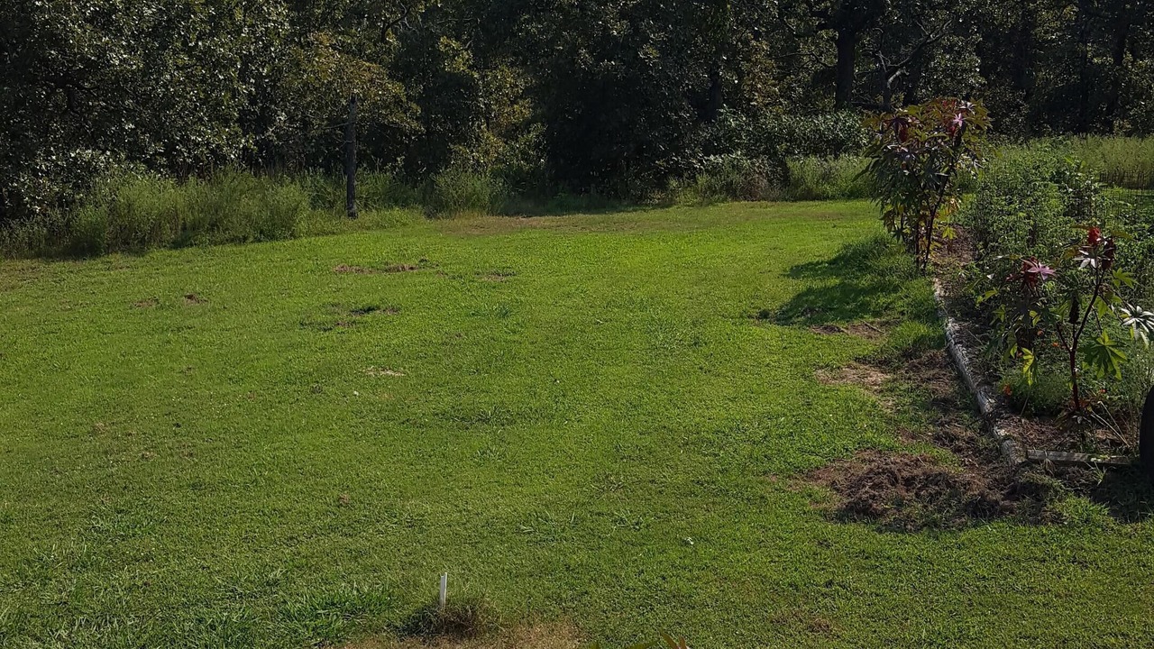 Photo of Outdoor in Sapulpa