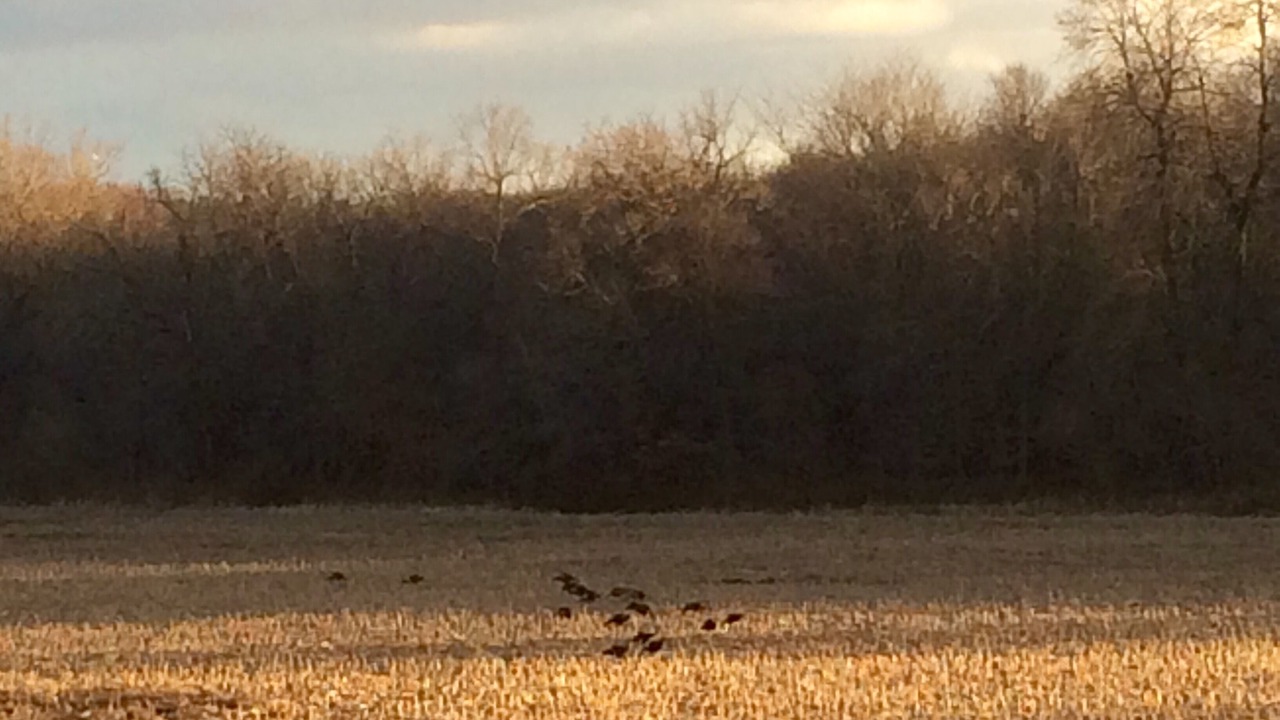 Photo of Others in Bucyrus