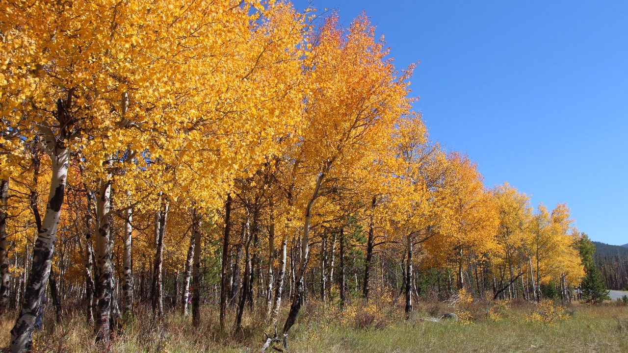 Photo of Outdoor in Estes Park