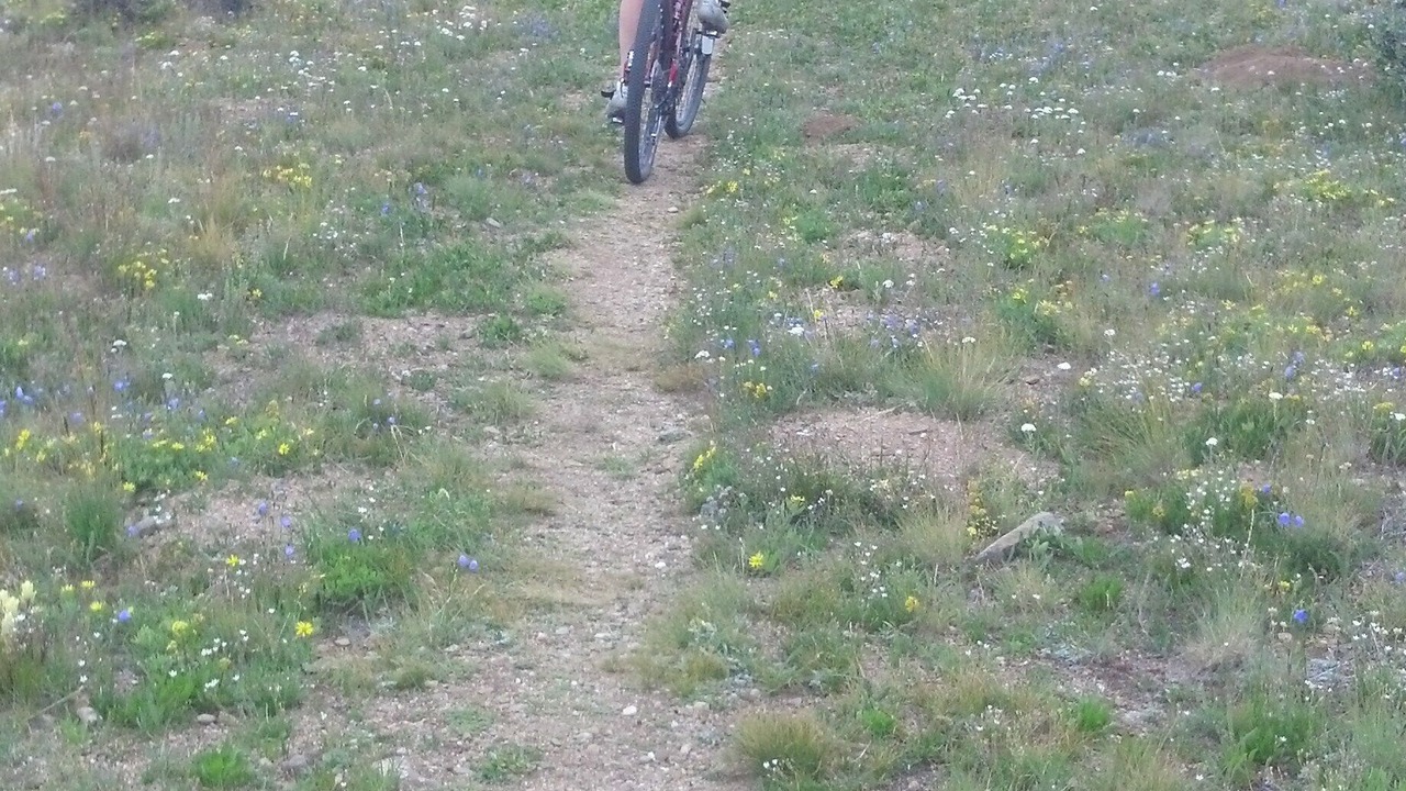 Photo of Others in Valley of the Sun