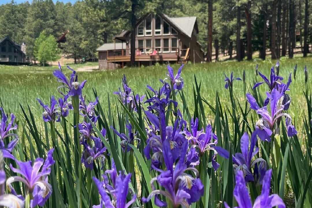 Photo of Outdoor in Angel Fire