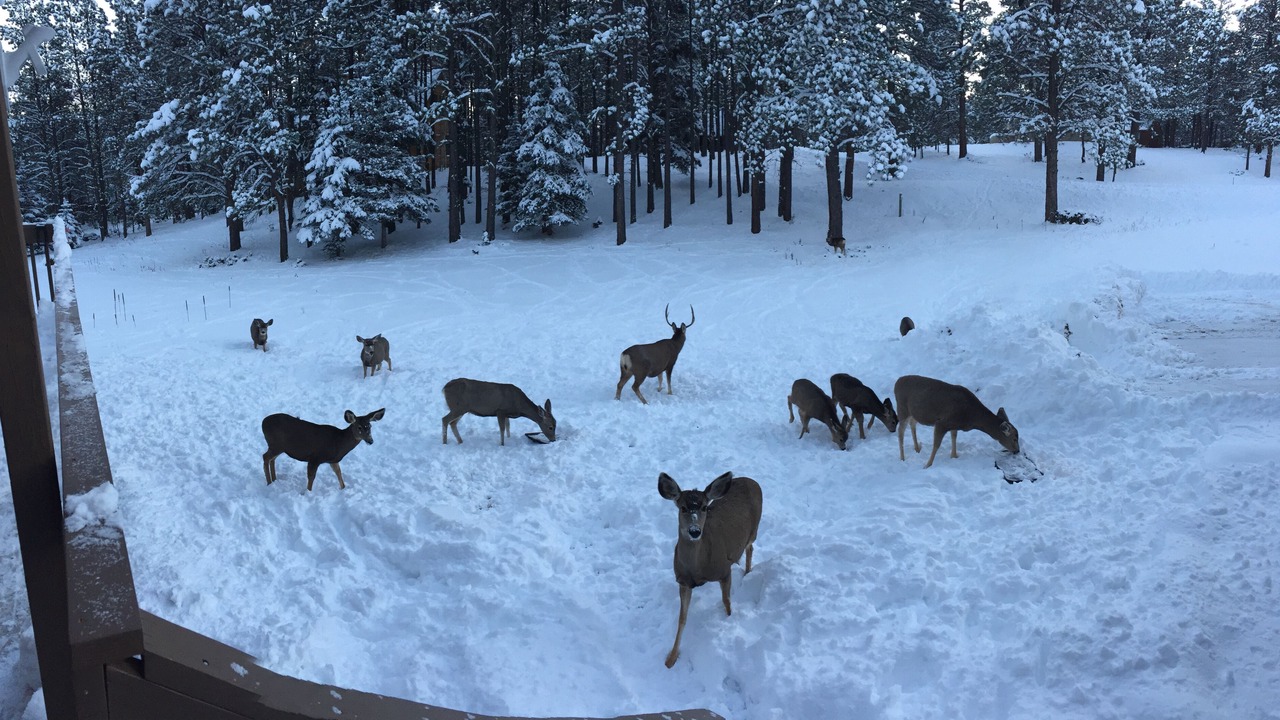 Photo of Others in Angel Fire