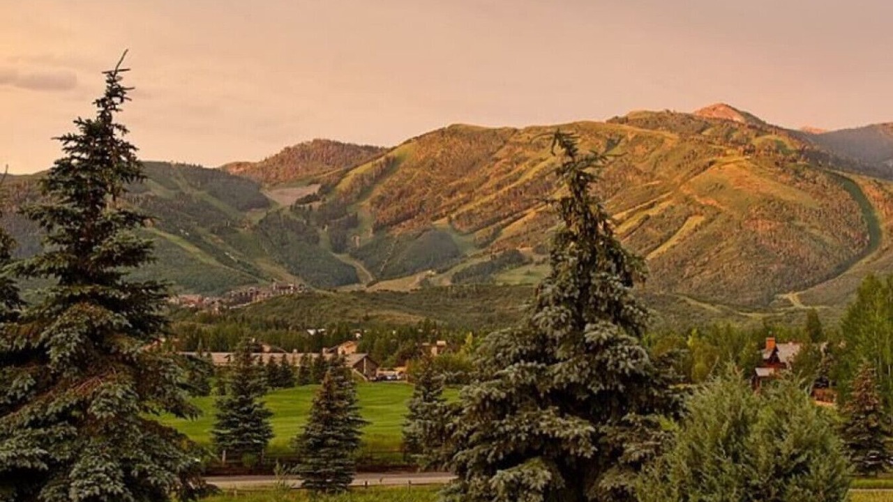 Photo of Others in Park Meadows
