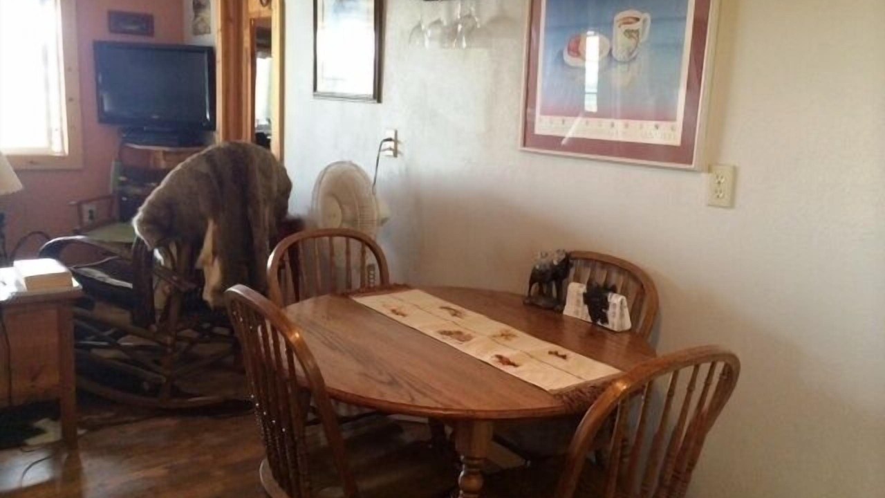 Photo of Others in Saratoga