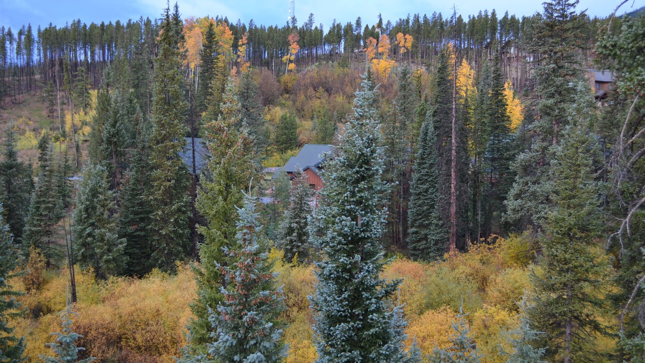 Photo of Others in Wildernest