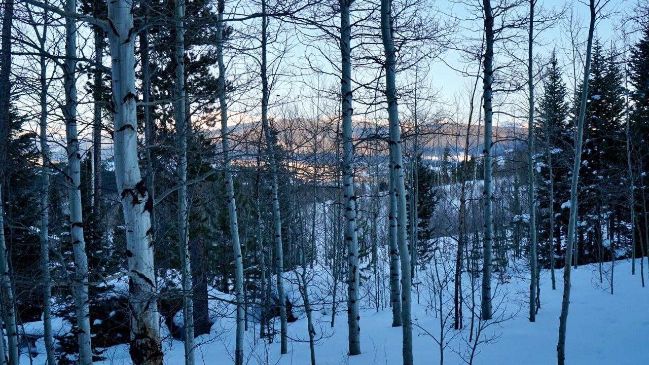 Photo of Others in Wildernest