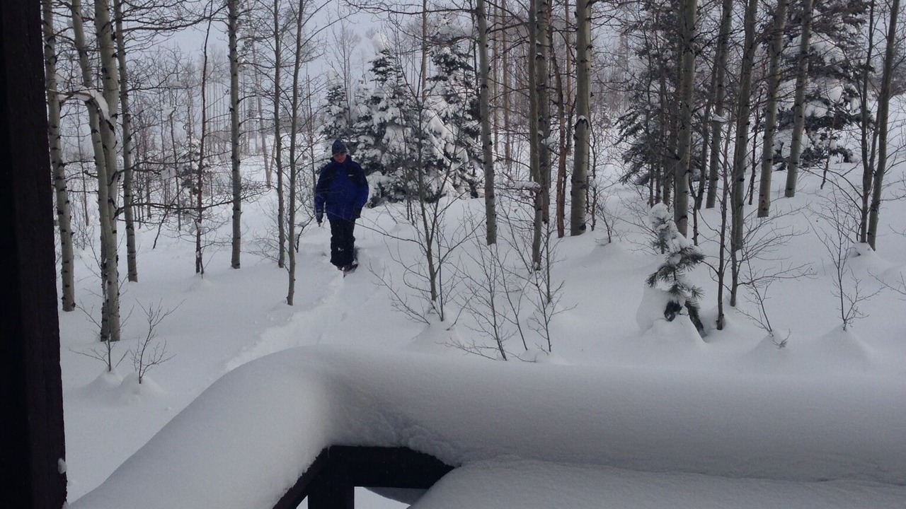 Photo of Others in Wildernest