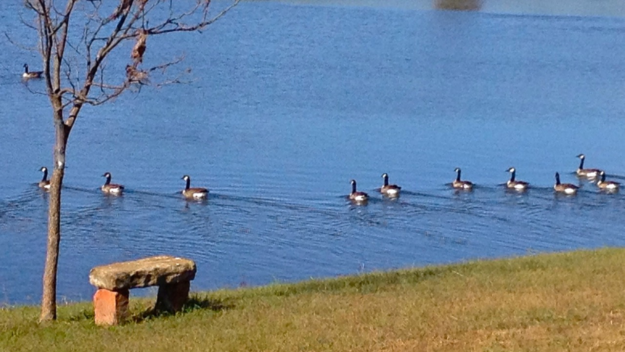 Photo of Outdoor in Independence