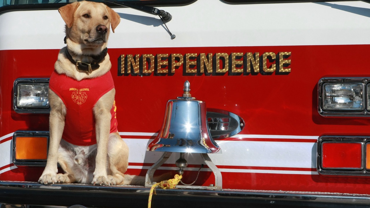 Photo of Others in Independence