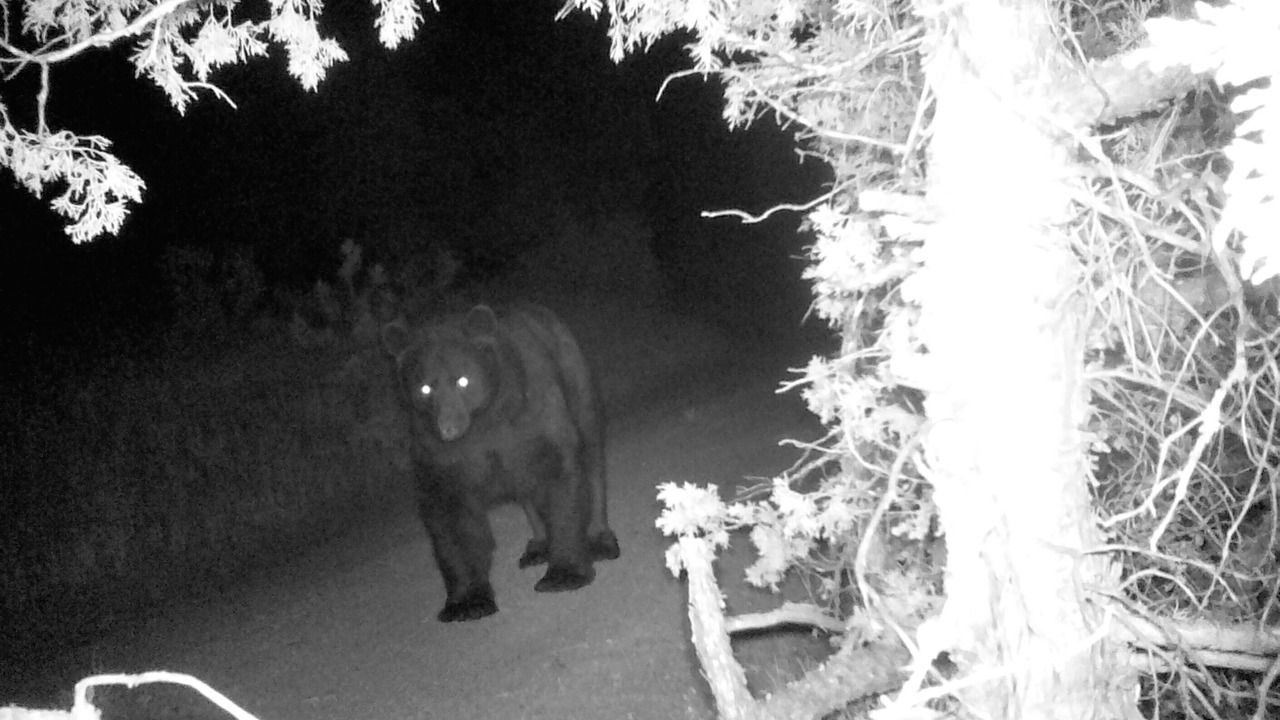 Photo of Others in Estes Park