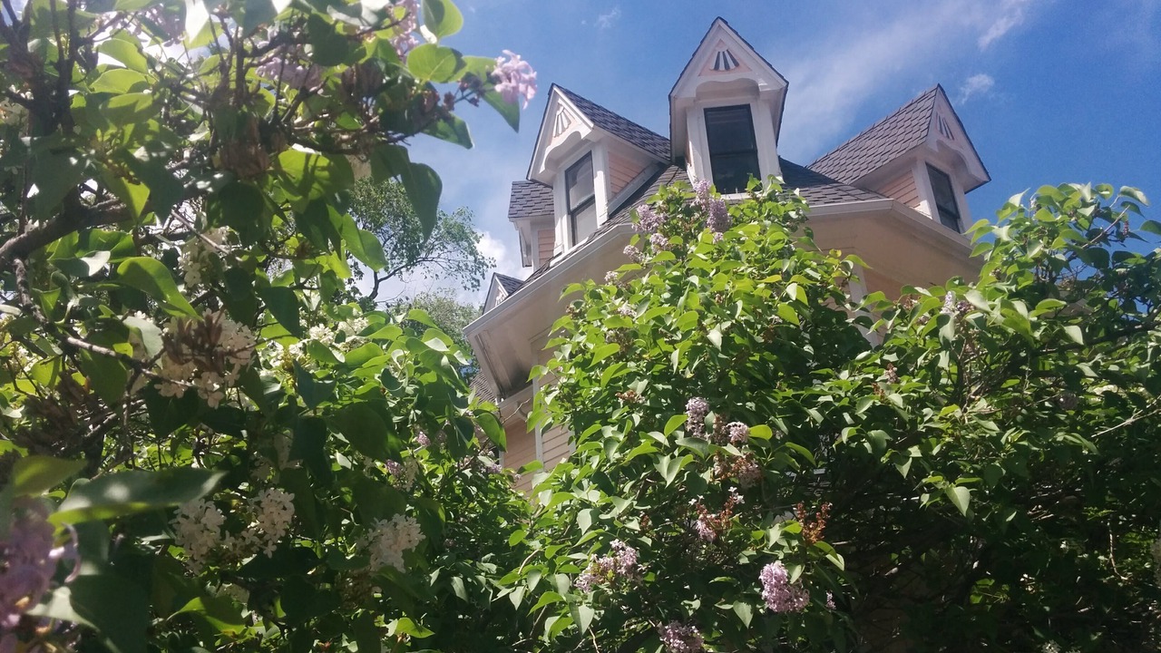 Photo of Outdoor in Manitou Springs Historic District