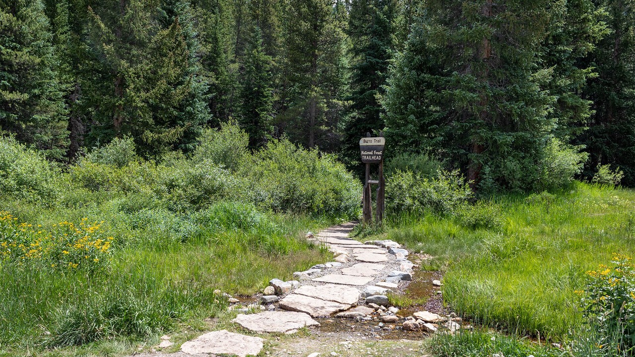 Photo of Others in Peak 9