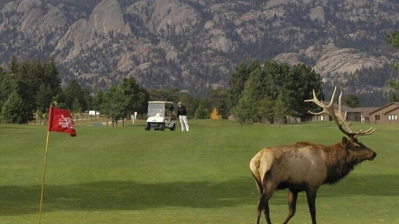 Photo of Others in Estes Park