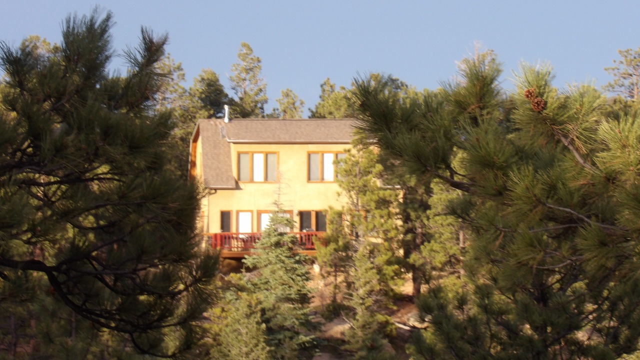 Photo of Outdoor in Weston
