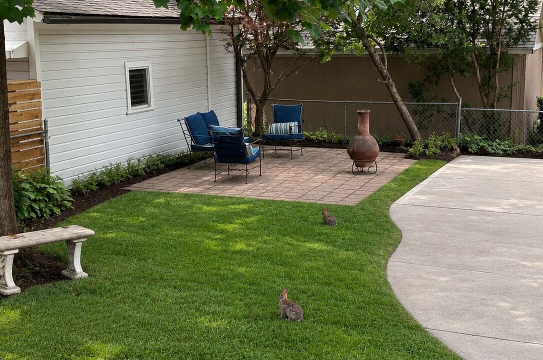 Photo of Outdoor in South Kansas City