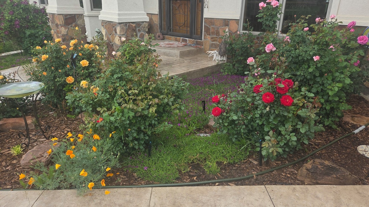 Photo of Outdoor in North Westminster