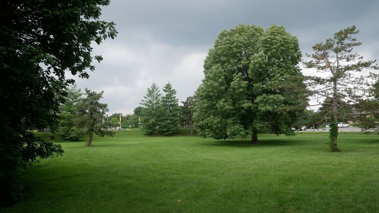 Photo of Outdoor in Overland Park