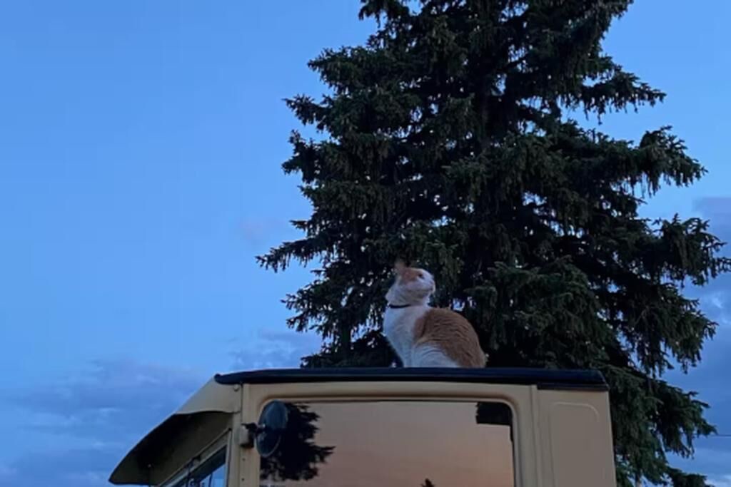 Photo of Others in Lake George