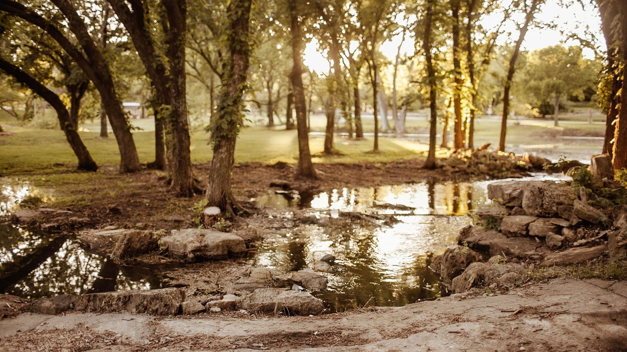 Photo of Others in Winfield