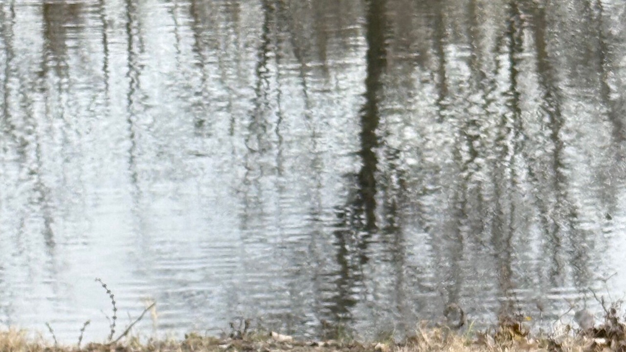 Photo of Others in Winfield