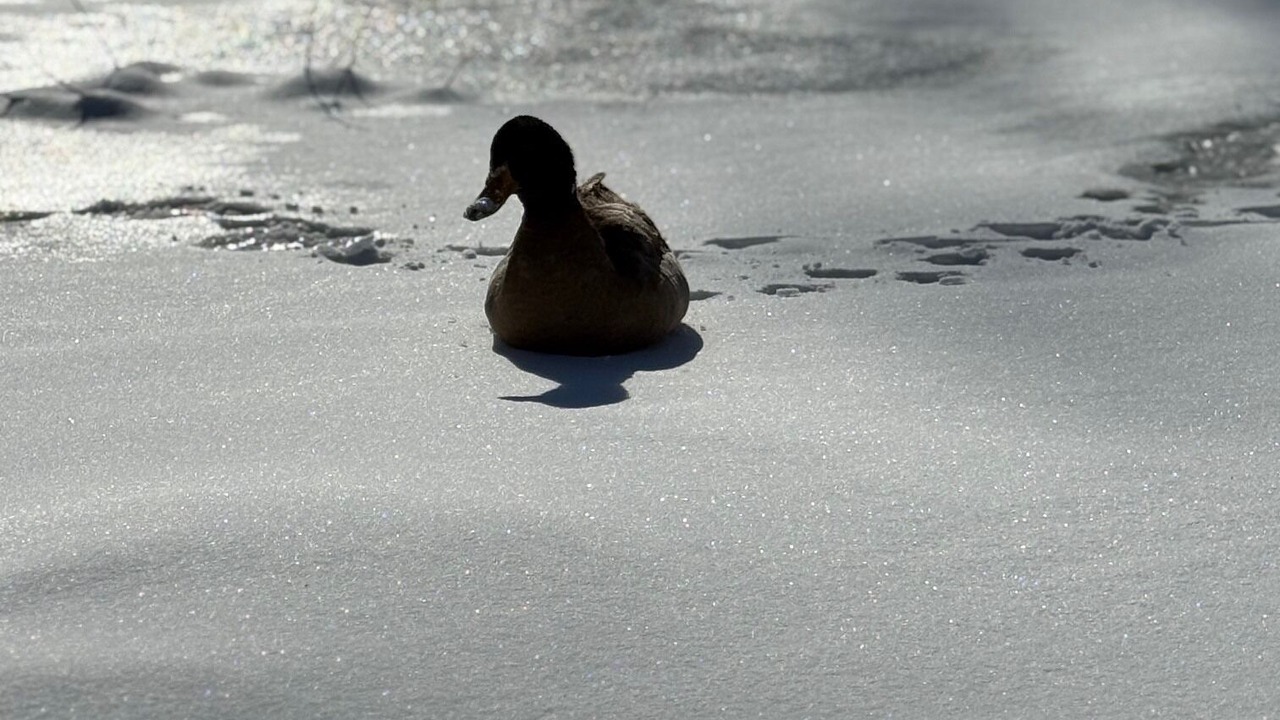 Photo of Others in Winfield