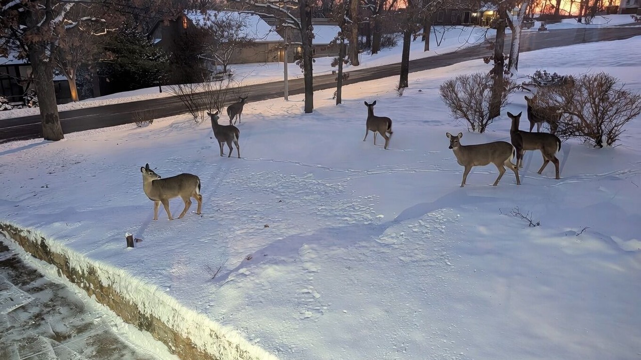 Photo of Others in Shawnee