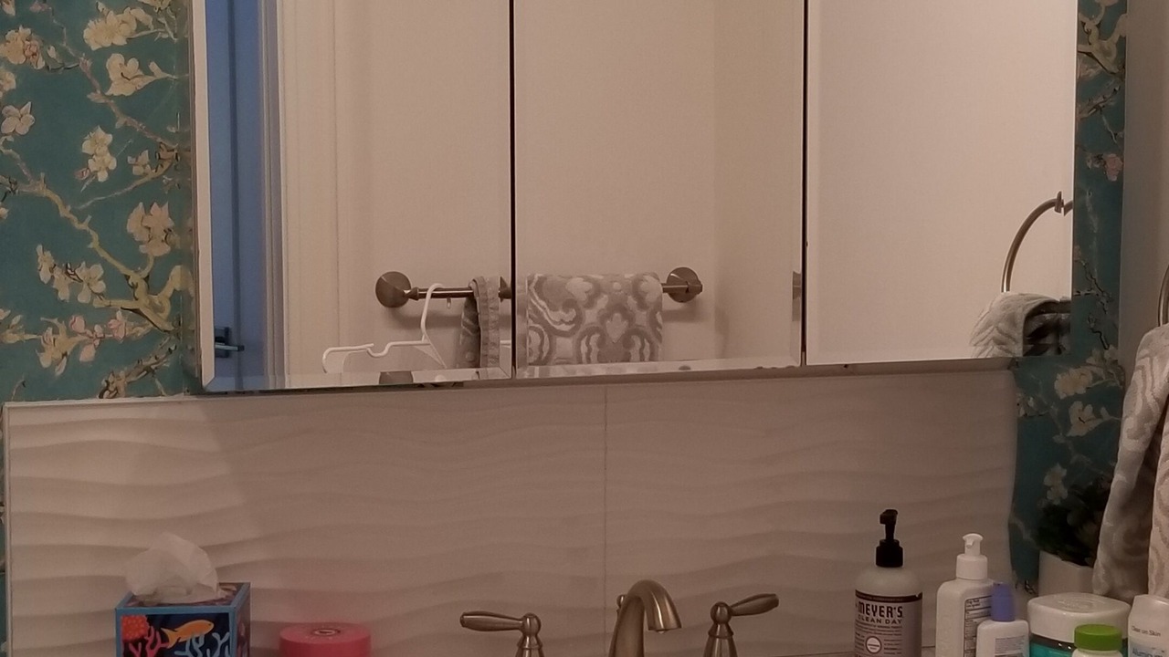 Photo of Bathroom in Kansas City