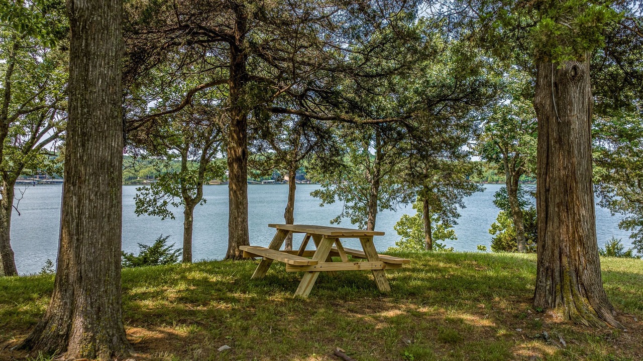 Photo of Outdoor in Jay