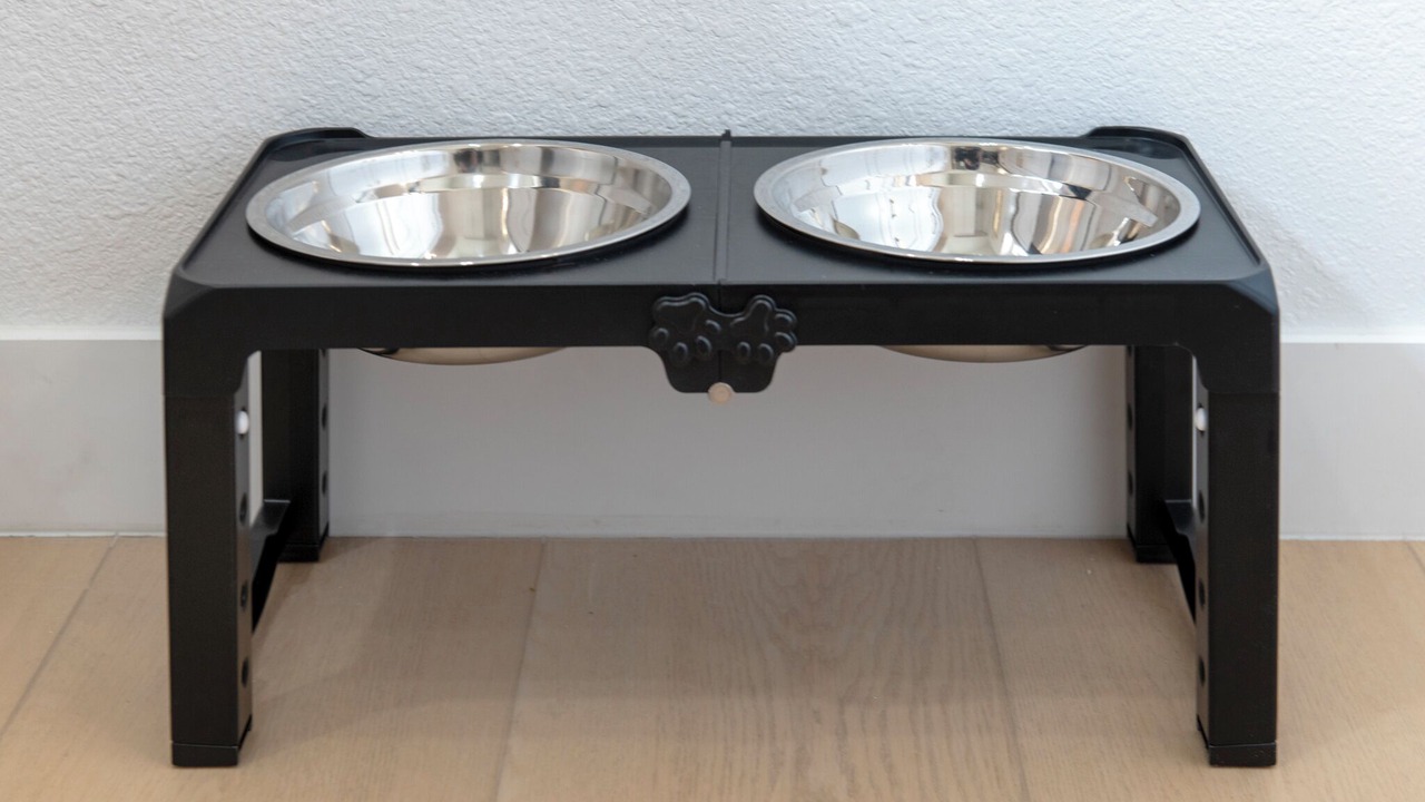 Photo of Others in Lamar Heights Area
