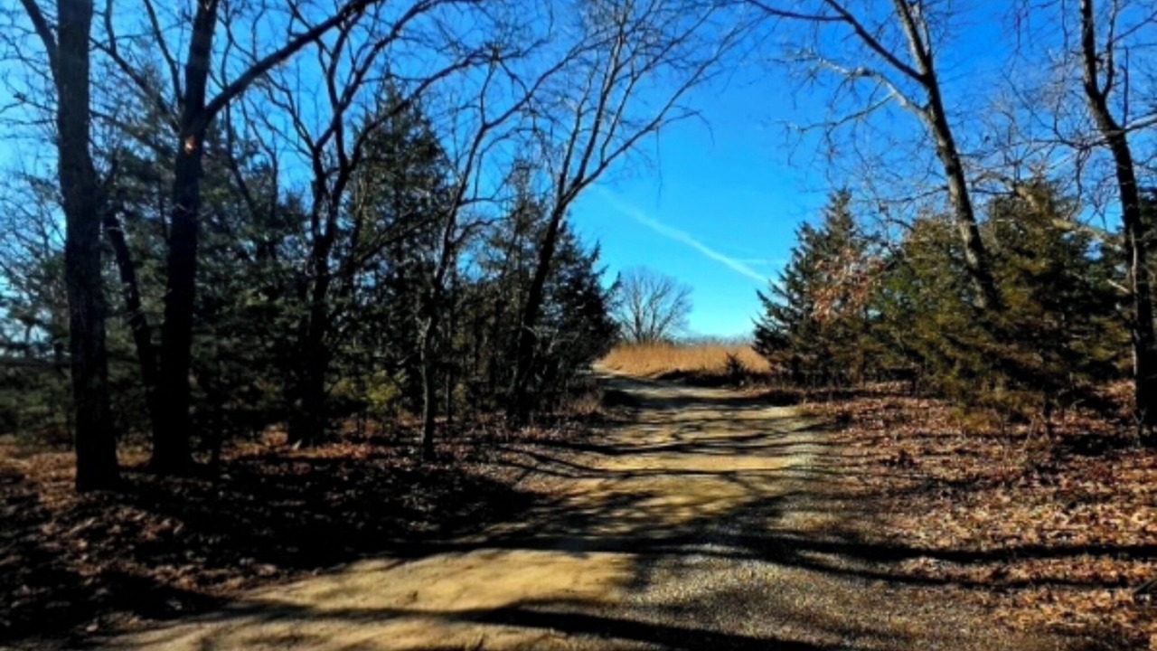 Photo of Others in Grantville