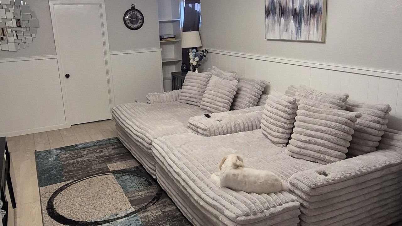 Photo of Livingroom in Montrose