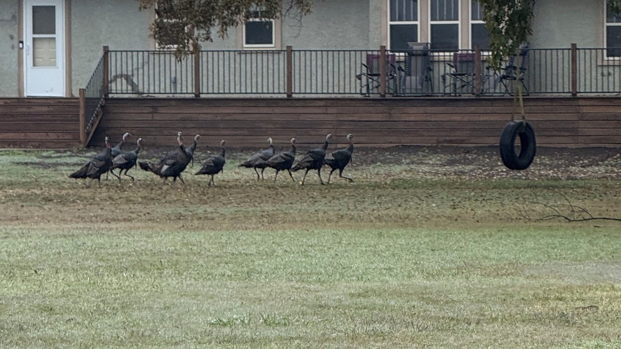 Photo of Outdoor in Ellsworth County