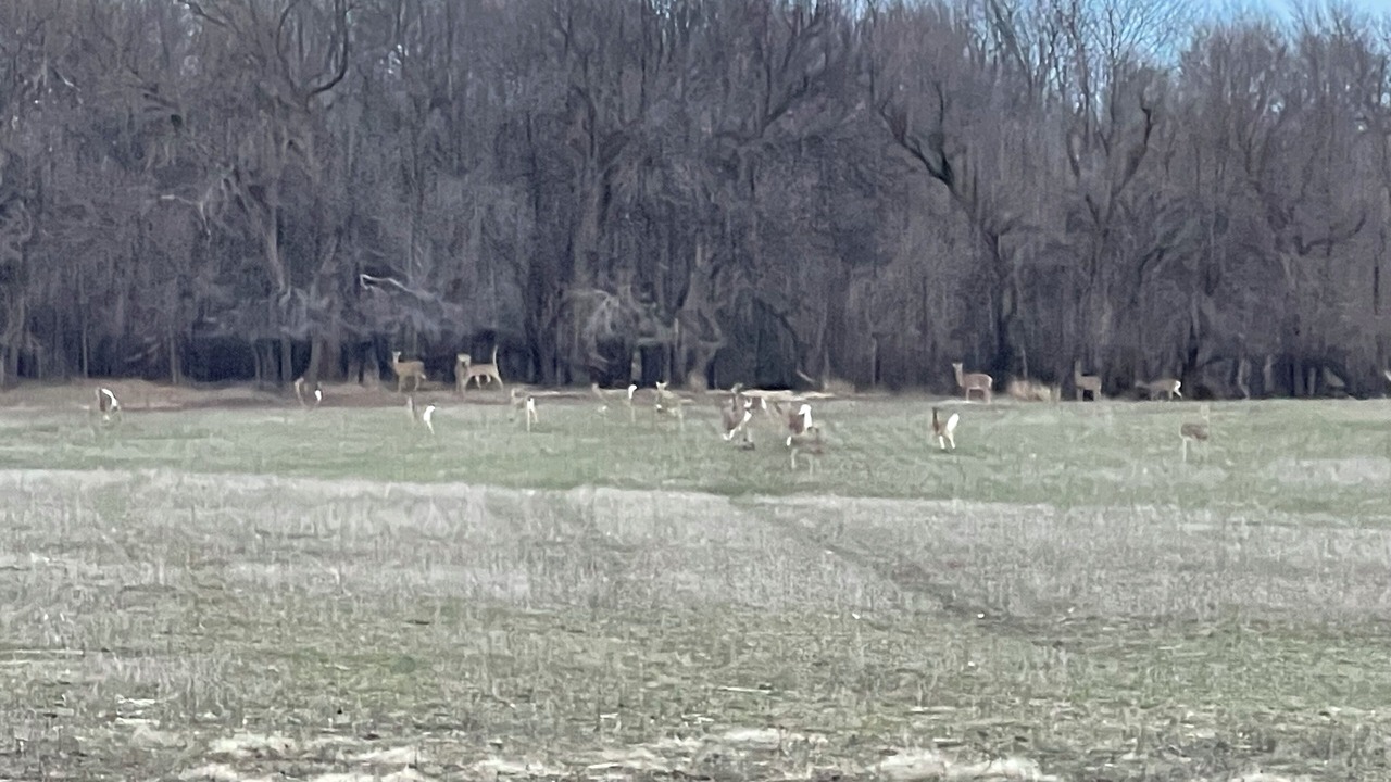 Photo of Others in Ellsworth County