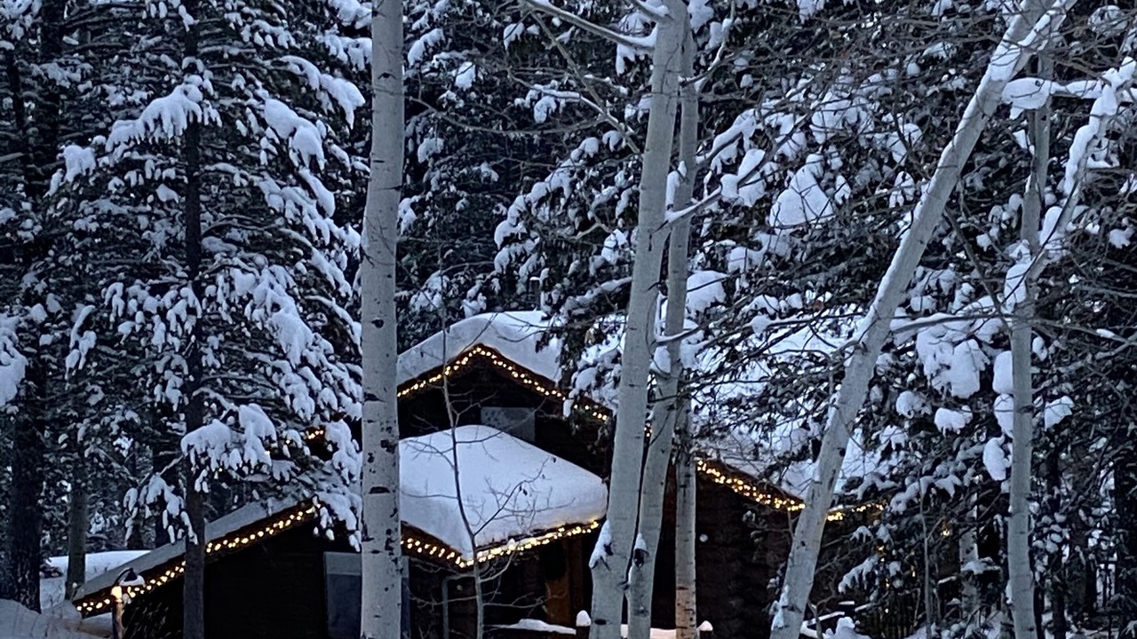Photo of Outdoor in Indian Paintbrush