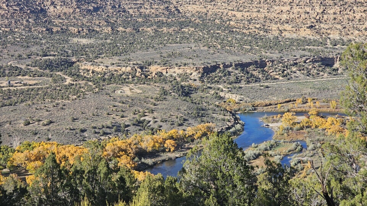 Photo of Others in Navajo Dam