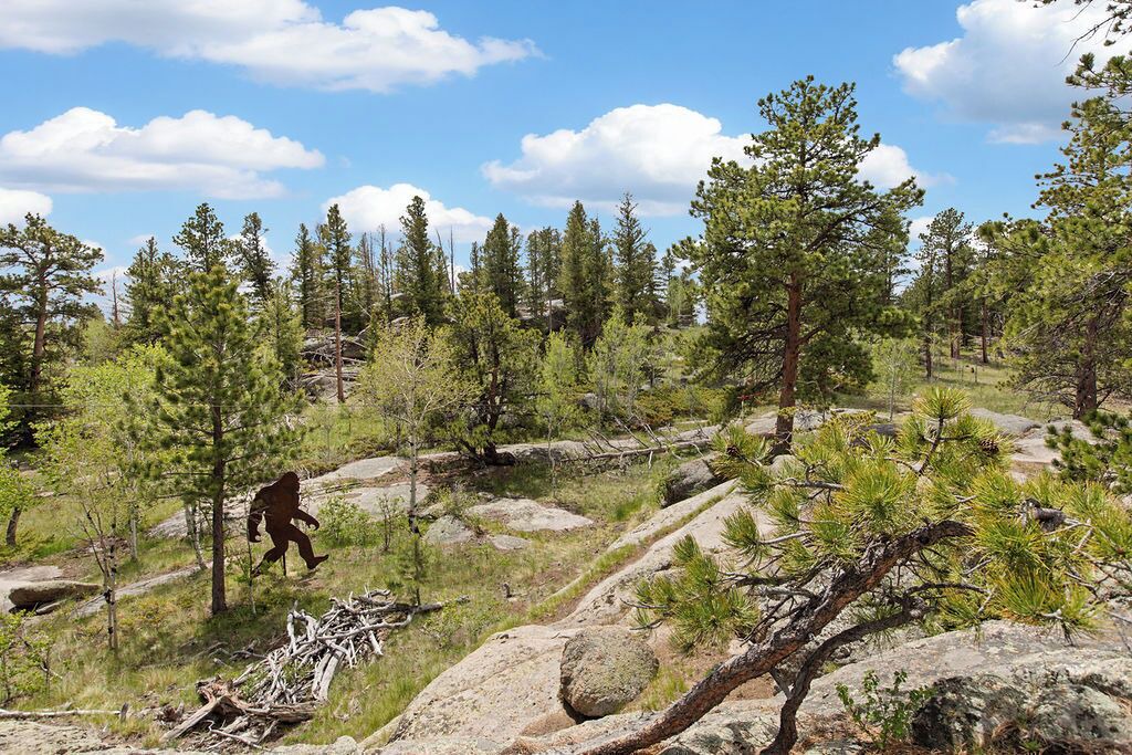 Photo of Others in Red Feather Lakes