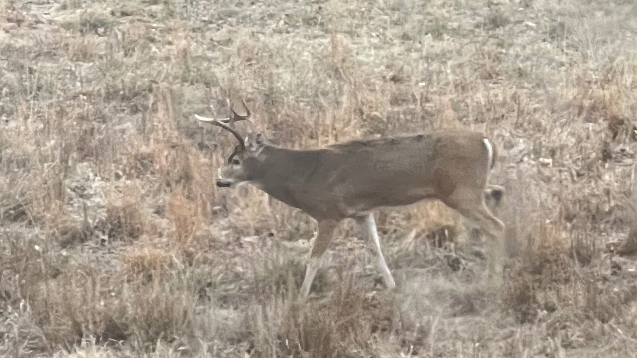 Photo of Others in Fort Scott