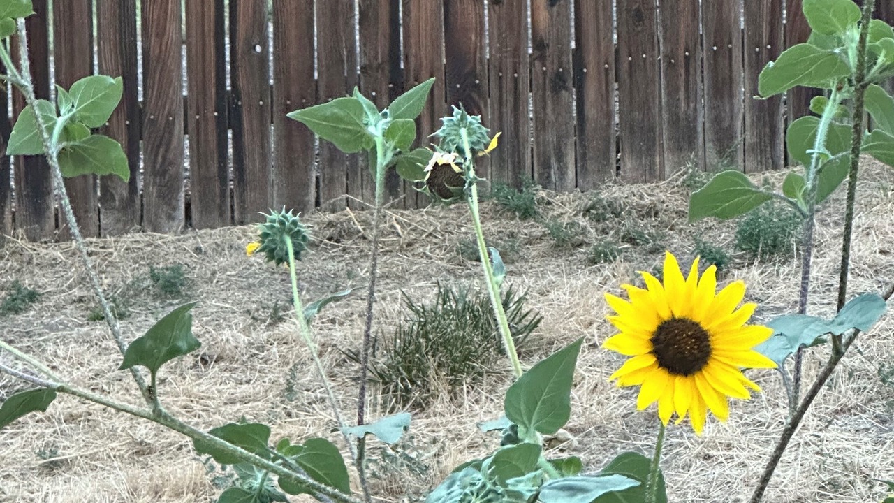 Photo of Others in Lakewood