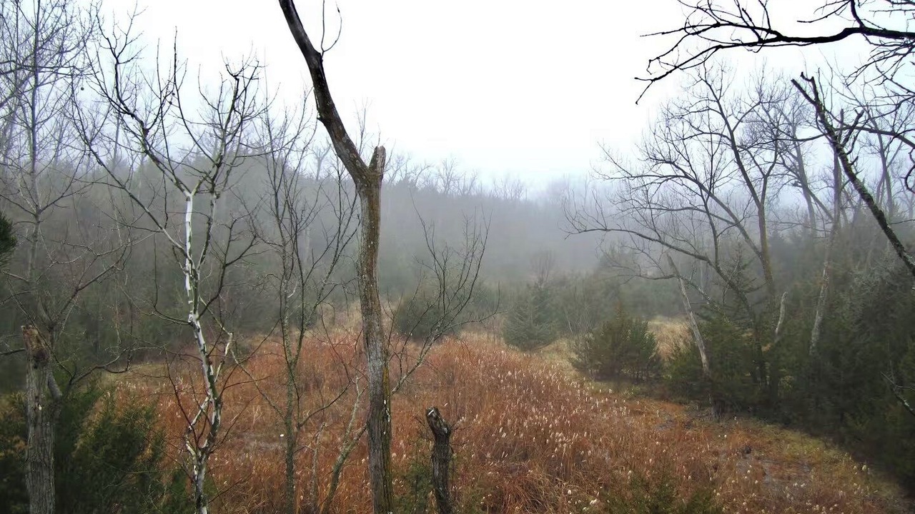 Photo of Others in Grantville