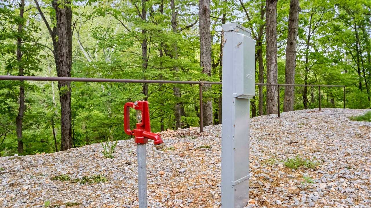Photo of Outdoor in Wyandotte