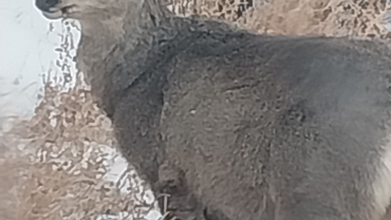 Photo of Others in Kaycee