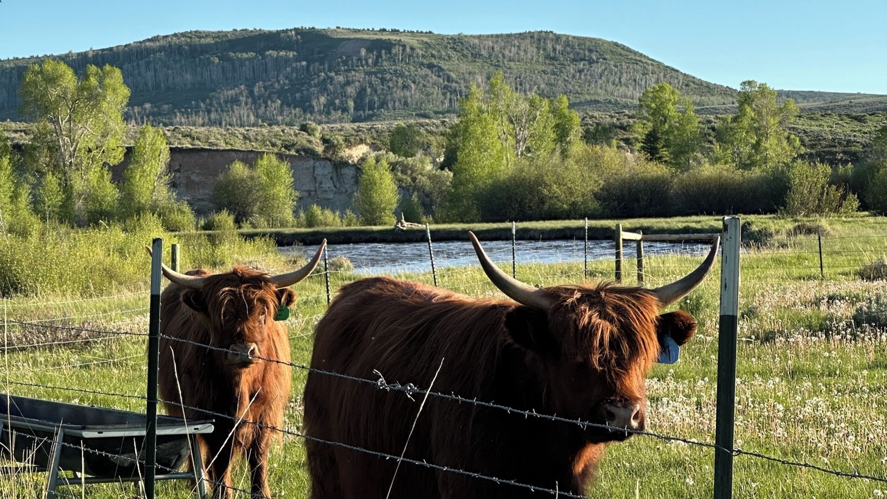 Photo of Others in Uinta County