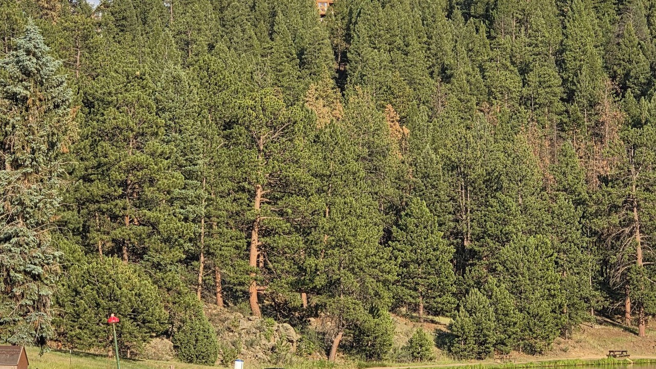 Photo of Outdoor in Bailey